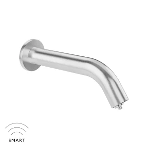 Dolphin Counter top soap dispenser, hands free, touch free, stainless steel.